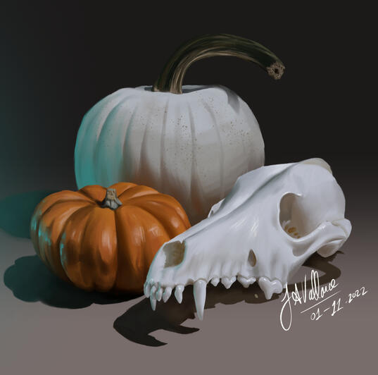 autumn still life - study | digital painting - (2023)